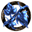 Sisters of Eve Volunteers