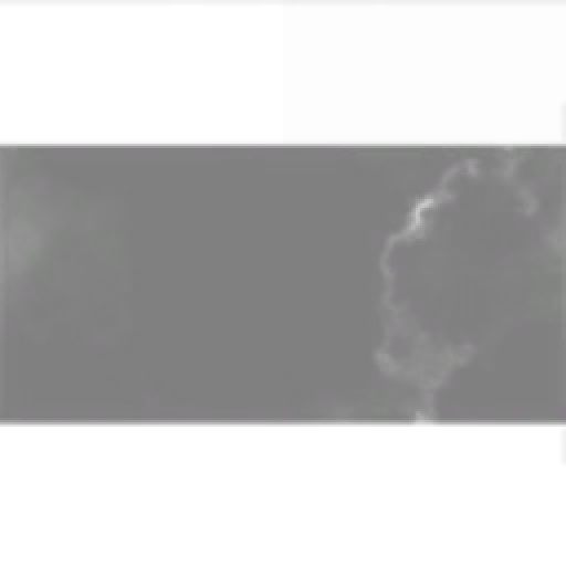 leito Chelien Corporation