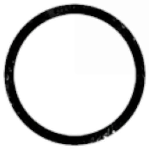 Mr Floppies House of Sausage