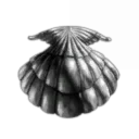 I can believe i can fly