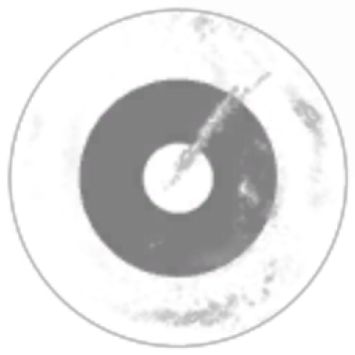 No Tax No Rules Phage