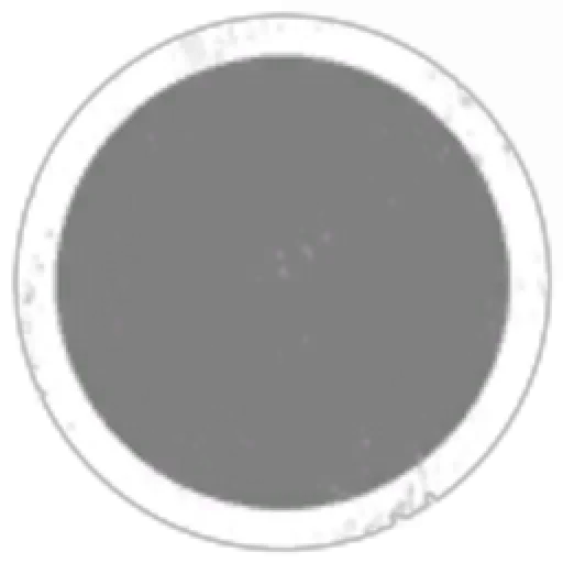 Legion of Terra Holding INC.