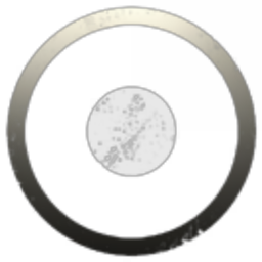 Allen Commodities and Oddities