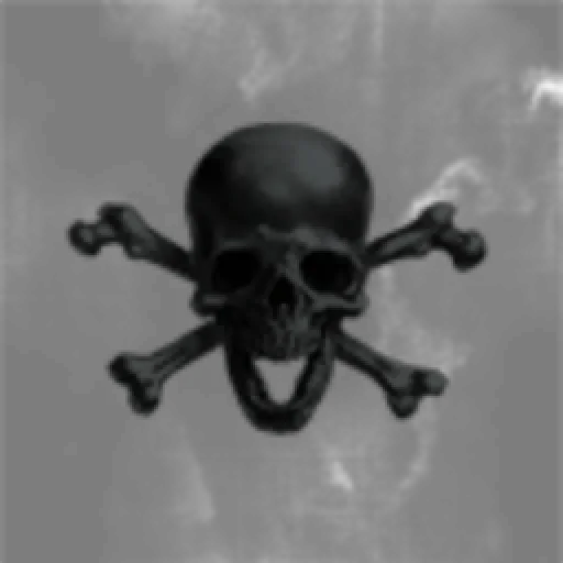 Sisters of the Black Flag