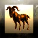 HAMMERHAND Industries Ltd.