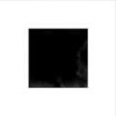 Equal in the Darkness citezen