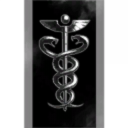 Four Zero Seven Seven Swamp