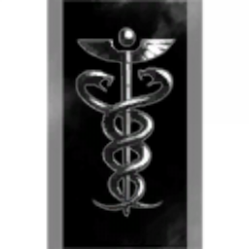 Four Zero Seven Seven Swamp