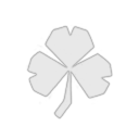 Wild Boars Grass Touching Co.