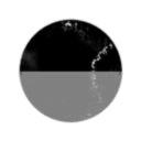 NCCIntrepid Corporation