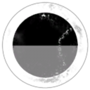 Raw Materials Expedition Service Provider