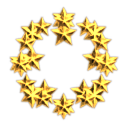 Caldari Consortium Fleet