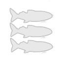 Begin Again Wormhole Cats