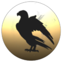 Black Raven Industry