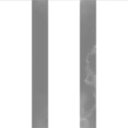 The New Nobility Corporation