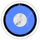 Blue Suns Immediate Reaction Division