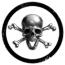 117 Skull Battlegroup