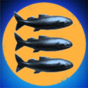 European Supermarket