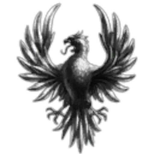 master- feng Corporation6666