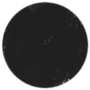 Good cat wont sell his ears while he sleeping