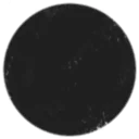 Good cat wont sell his ears while he sleeping