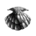 ZXC XXX ICE MINING CORP 228 ZXC XXX