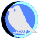 Forever Stardust Navy Combined Fleet