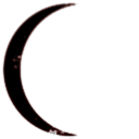 Advanced Lifeform Imitating Earths Native Species