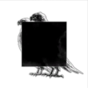 Veil of the Black Vulture