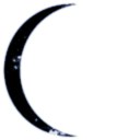 Yes It's that Flavor of Autism