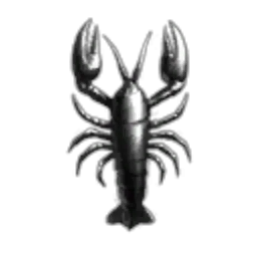 Moamen M Corporation