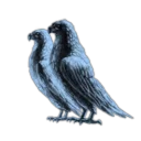 in native xander storm