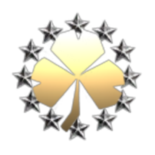 Bastogne Mining Corporation