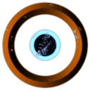 Outer Ring Solutions