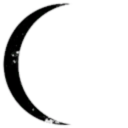 The Mishi Corp Expeditions and Excavations