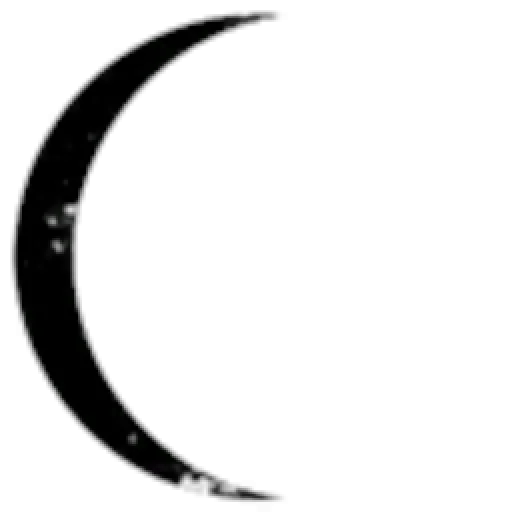 The Mishi Corp Expeditions and Excavations