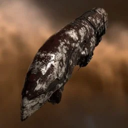 Apocalypse Blood Raider Edition