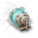 J5 Enduring Warp Disruptor